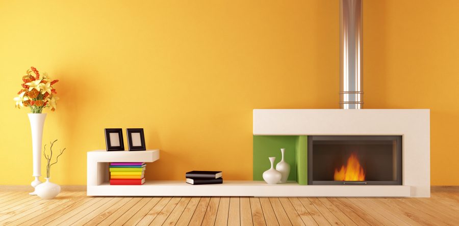 consectetur adipiscing